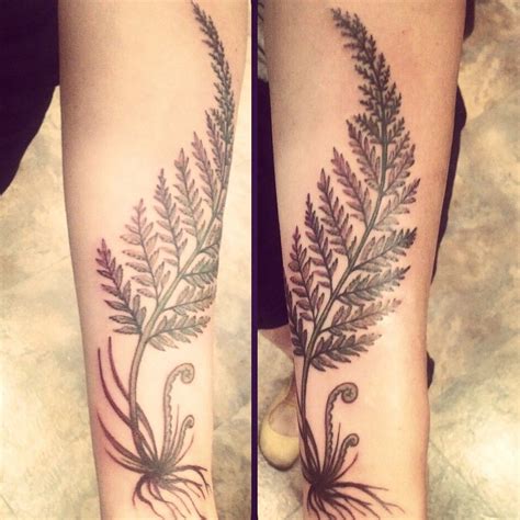 fern tattoos|fern tattoo symbolism.